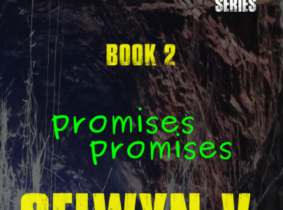 Promises Promises Available Now!